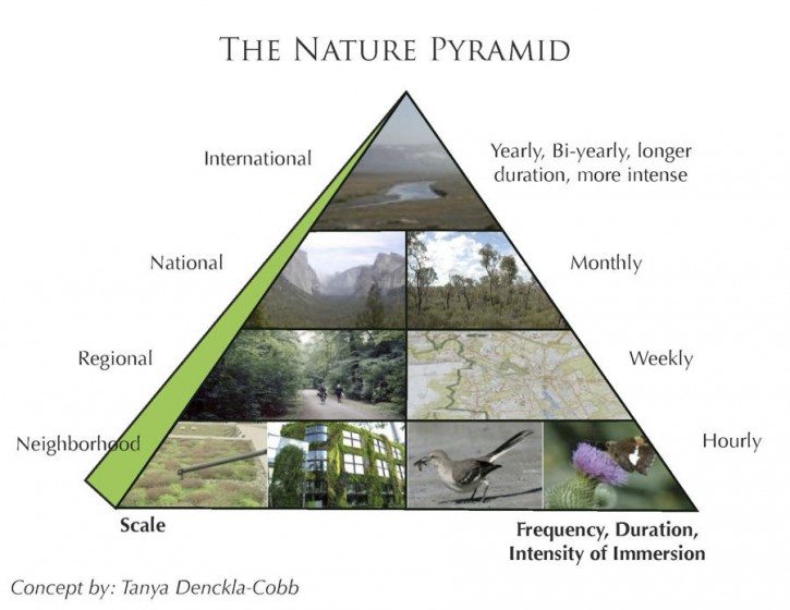 NaturePyramid